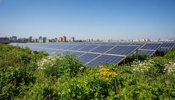 Prise connectée mesure consommation : guide 2026